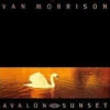 (#177) Van Morrison - Avalon Sunset -MELBOURNE SURF Shop R 4616789 1373430257 4331