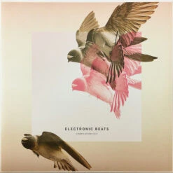 (#289) Various - Electronic Beats Compilation 2013